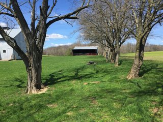 Property photo 9 - REAL ESTATE & LAND AUCTION - 105+/- ACRES IN 4 TRACTS IN BUTLER COUNTY, OHIO